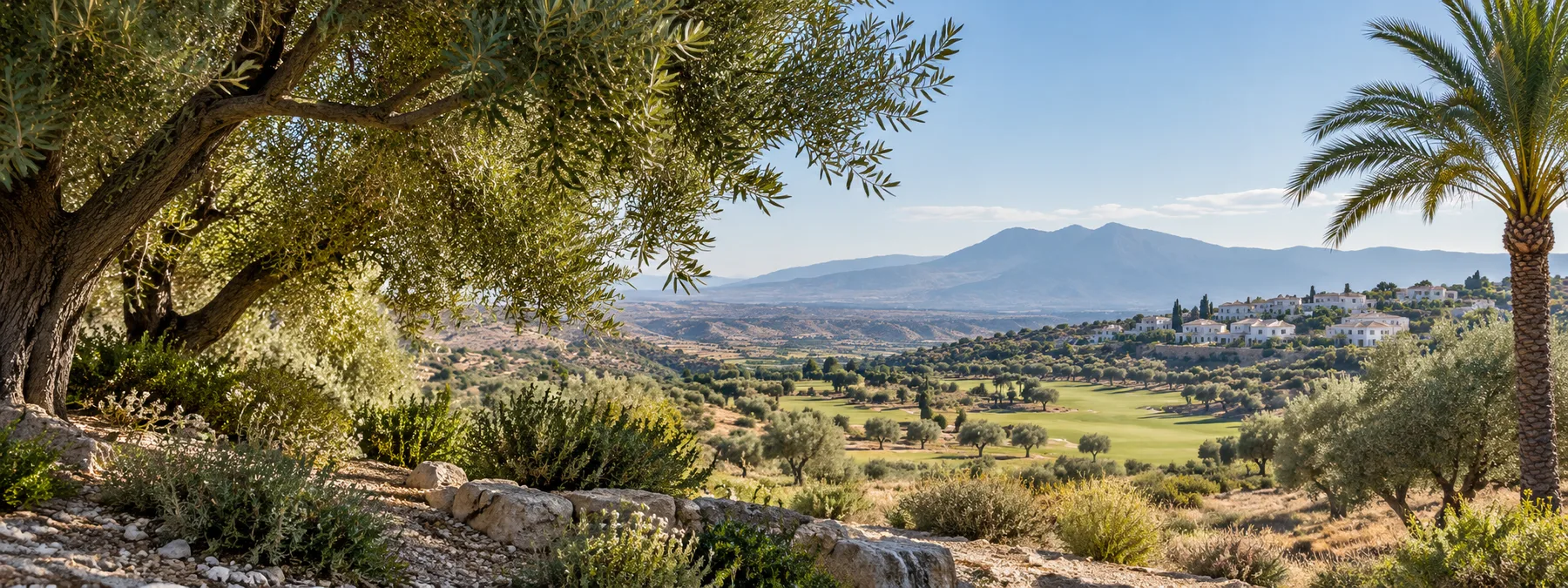 Murcia resort landscape